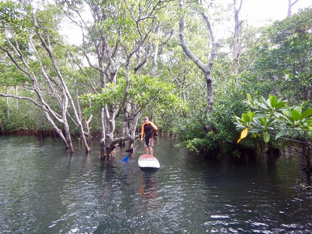 Sau Bay Resort - Off Taveuni Na Sau Bay Eksteriør bilde
