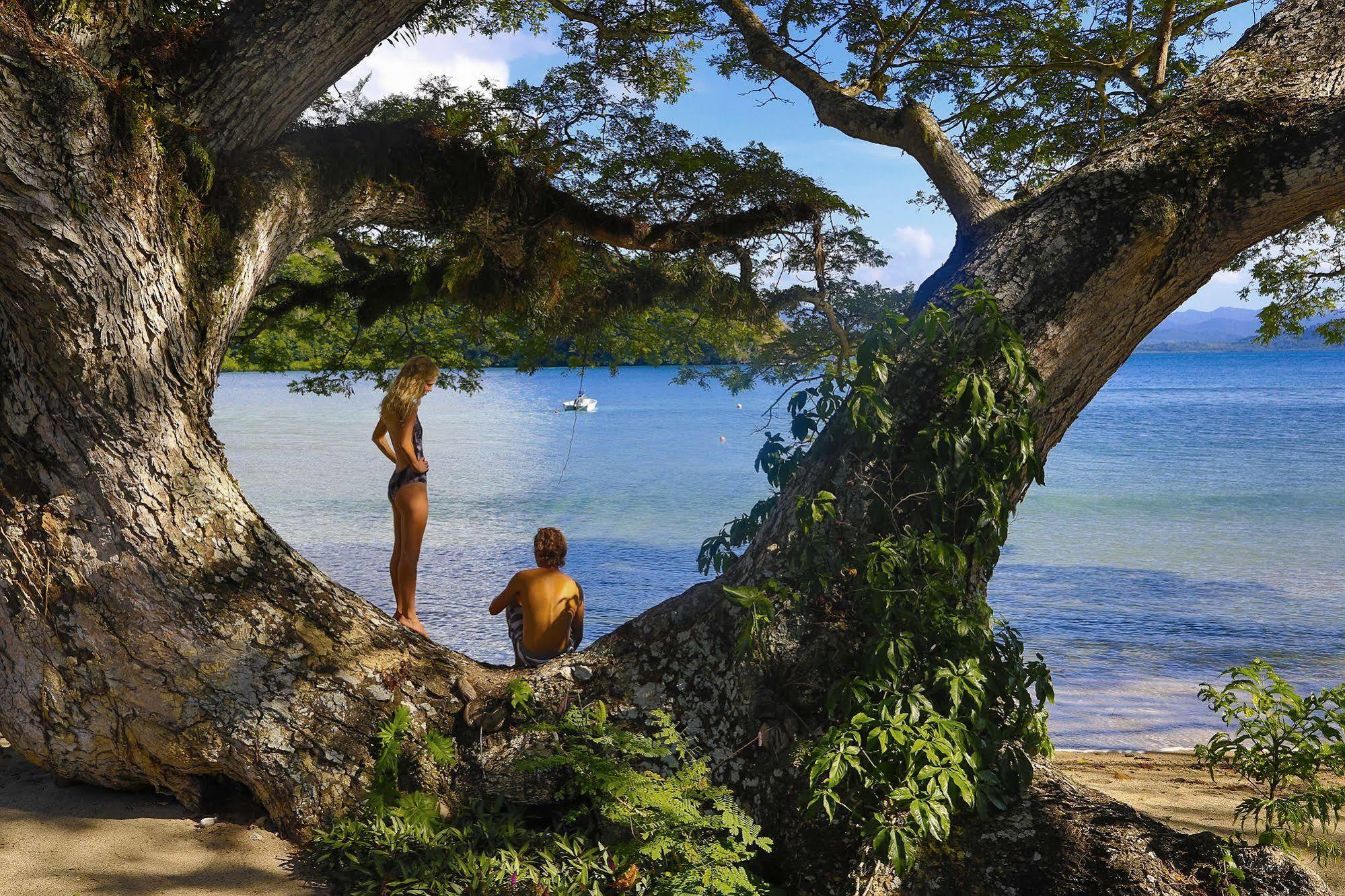 Sau Bay Resort - Off Taveuni Na Sau Bay Eksteriør bilde